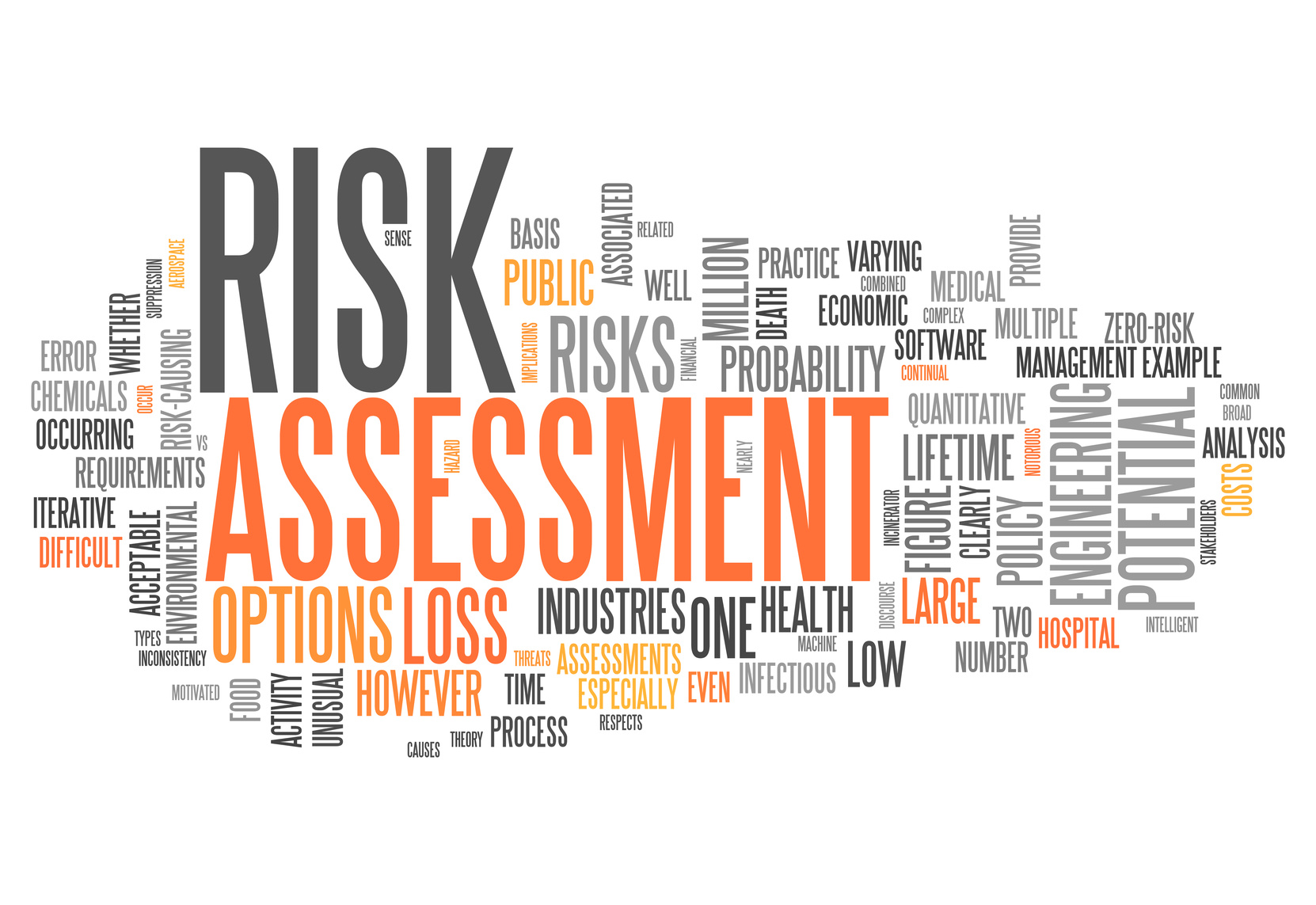 What is a Risk Assessment?